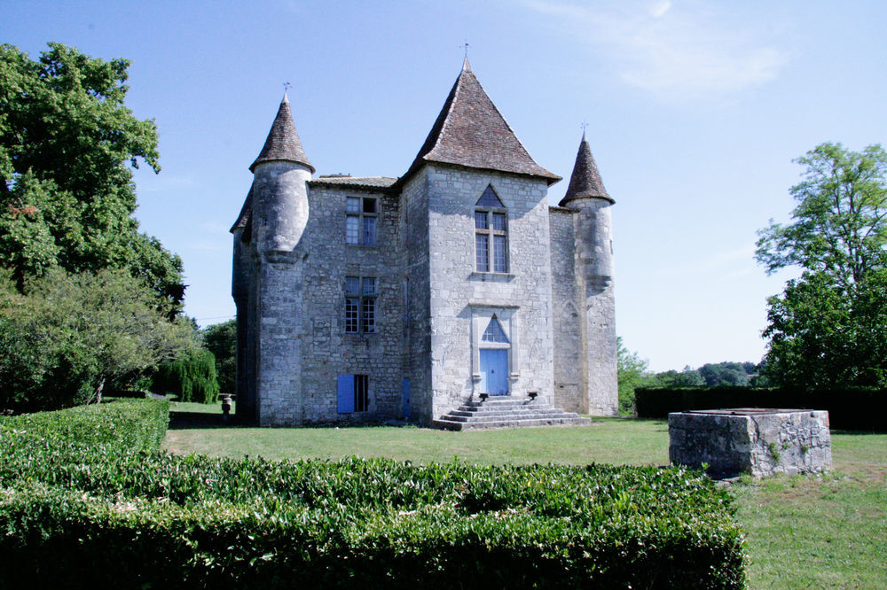 Gîtes du Château de Panisseau Thénac Extérieur photo